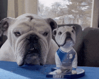 Drake Mascot GIF by DrakeUGriff