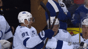 ice hockey fist bump GIF by NHL