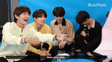 How Adorable