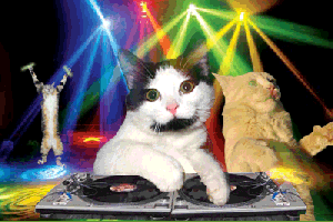 Digital art gif. Photos of three cats have been edited and manipulated to appear as if they're dancing in a nightclub. One cat is manning a DJ station while the other two get down to the music. There are flashing rainbow club lights on the ceiling and the floor.