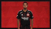 Eintracht Frankfurt Football GIF by Bundesliga