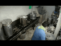 迷因 GIF