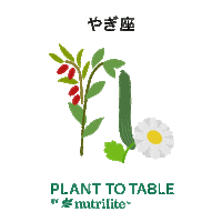 amwayjapan nutrilite 星座 ニュートリライト plant to table Sticker