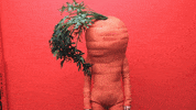 yes GIF by Sixt