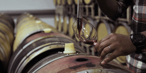 chrisbodven giphyupload GIF