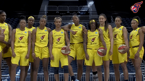 Hinkle Fieldhouse Squad GIF by Indiana Fever