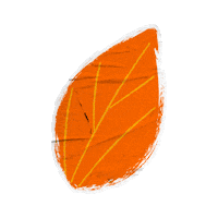Orange Leaves Sticker by Extrafruti
