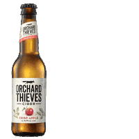 Apple Cider Sticker by Orchard Thieves