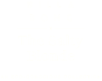 Thesaltyblonde Sticker by Billabong Womens
