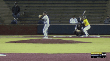 College Baseball GIF by Purdue Fort Wayne Athletics