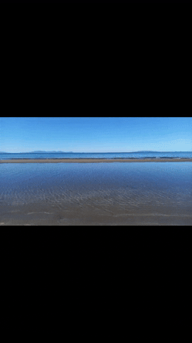 Simongip giphyupload GIF