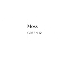 Moss Sticker by Plum Living