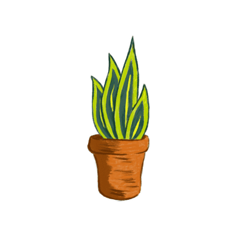 nennoilustracion giphygifmaker plantas suculentas sanseveria Sticker