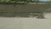 redbullracing france 2019 f1 french GIF