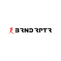 BrandRaptor photography videography brlogo brandraptorlogo Sticker