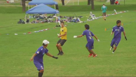 flikulti ultimate frisbee flik GIF