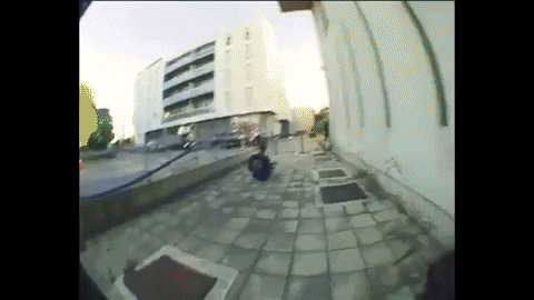elcarlsd giphygifmaker wink skate poland GIF