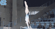 flip carolina GIF by UNC Tar Heels