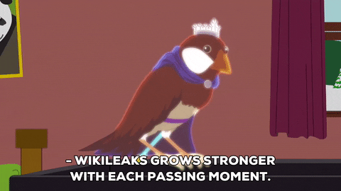 bird talking GIF by South Park 