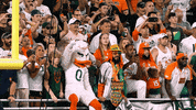 Hurricanes Football Celebration GIF by Miami Hurricanes