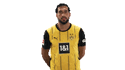 Borussia Dortmund Sticker by Bundesliga