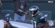 philadelphia eagles football GIF by NFL