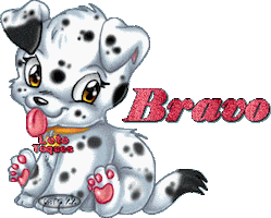 bravo STICKER