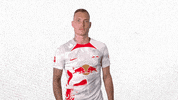 Football Soccer GIF by RB Leipzig
