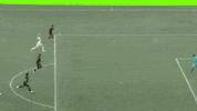 Los Angeles Football GIF by LAFC