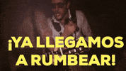 losrumberos fiesta baile vino paul GIF