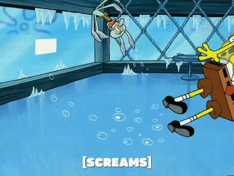 season 5 new digs GIF by SpongeBob SquarePants