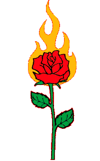 Xtellar fire flower rose rosa Sticker