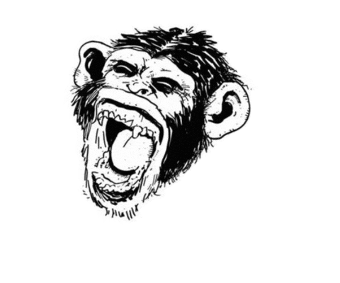 Chimp Chimpanzee Sticker