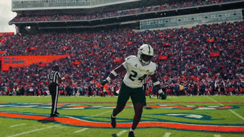 College Football GIF by USF Athletics