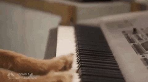 Dog Nbc GIF by The Voice