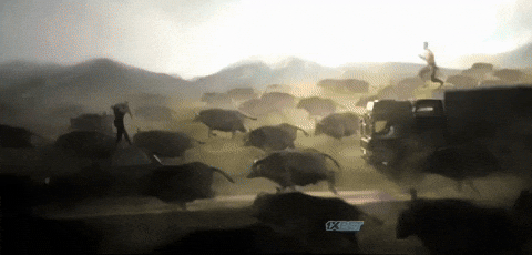 d4b123123r32513244 giphyupload GIF