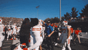 Celebrate College Football GIF by Wisconsin Badgers