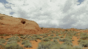 grand staircase GIF by Earthjustice
