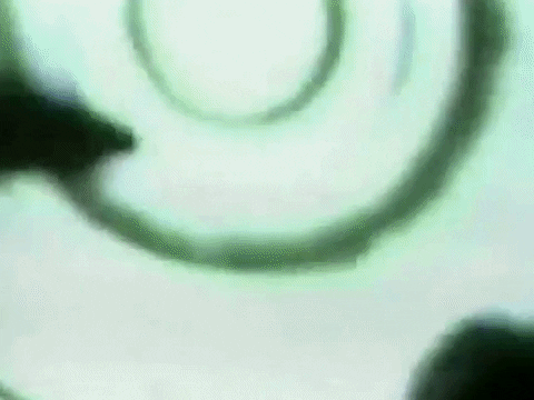 Rocking Rock And Roll GIF by Rob Zombie