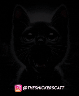 Dark Scared Cat GIF