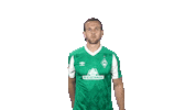 Niclas Füllkrug Bundesliga Sticker by SV Werder Bremen