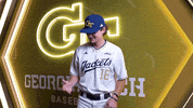 Georgia Tech Baseball GIF by Georgia Tech Yellow Jackets