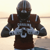 South Carolina Gamecocks Sunset GIF by gamecocksonline