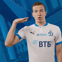 GIF by FC Dynamo Moscow