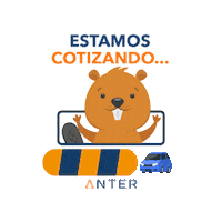Teo Anter Sticker by Anter Seguros