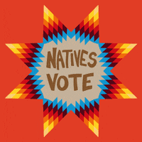 Vote Early Native American GIF by INTO ACTION