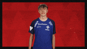 Sv Darmstadt 98 Hello GIF by Bundesliga