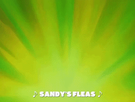 season 7 GIF by SpongeBob SquarePants