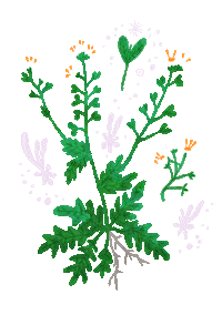 Flower Stars Sticker