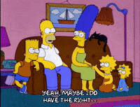 homer simpson snowball ii GIF